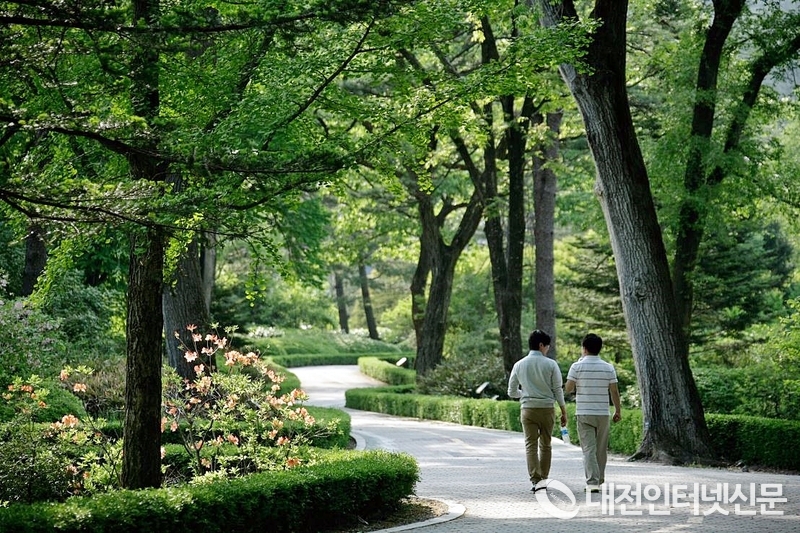 ‘산림 보호법 시행령’ 개정안13일 국무회의 통과